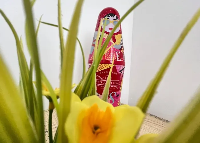 Appartement E 2 Poterne T3 Rdc Proche Centre-ville Épernay